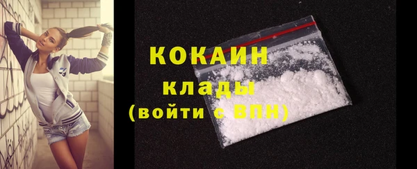 шишки Верея