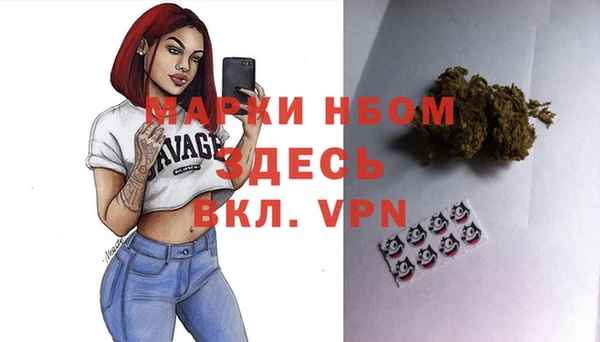 шишки Верея