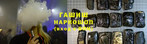 шишки Верея