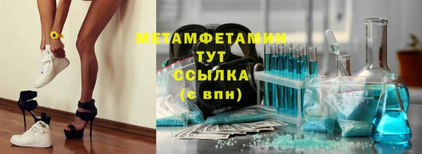 шишки Верея