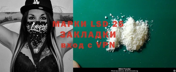 шишки Верея