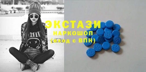шишки Верея