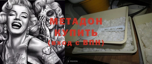 шишки Верея