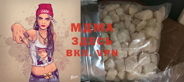 шишки Верея