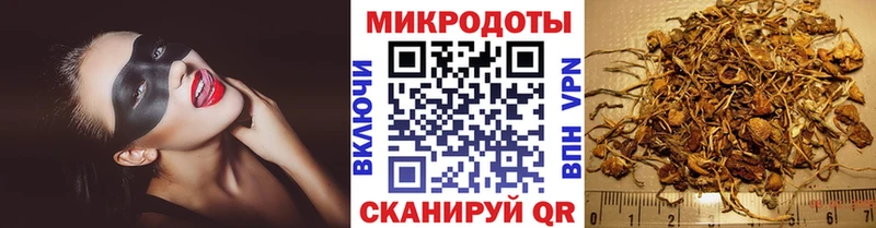 кракен ССЫЛКА  Серов  Псилоцибиновые грибы Psilocybine cubensis 